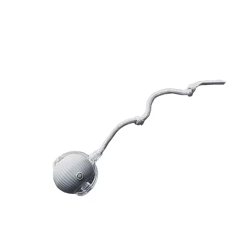 Bola Automática para Gatos