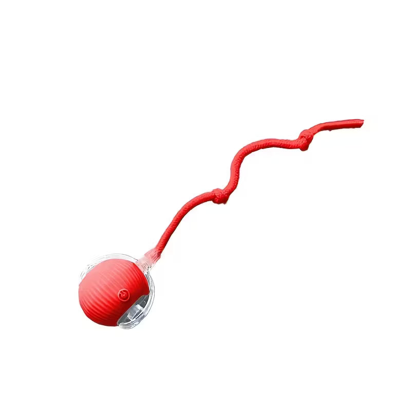 Bola Automática para Gatos