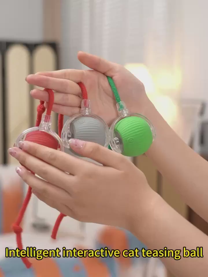 Bola Automática para Gatos